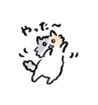 ふわふわ猫ひまわりのゆるいスタンプ（個別スタンプ：9）