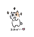 ふわふわ猫ひまわりのゆるいスタンプ（個別スタンプ：10）