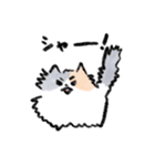 ふわふわ猫ひまわりのゆるいスタンプ（個別スタンプ：12）