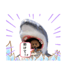 【トイプードルSAKU ＆ いと】（個別スタンプ：4）