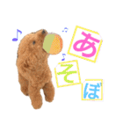 【トイプードルSAKU ＆ いと】（個別スタンプ：29）