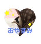 あんちょのスタンプ（個別スタンプ：2）