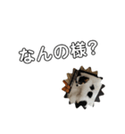 シャイニースタンプシリーズ！part5（個別スタンプ：3）