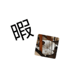 シャイニースタンプシリーズ！part5（個別スタンプ：4）