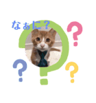 子猫 双子（個別スタンプ：18）