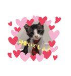 子猫 双子（個別スタンプ：19）