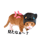 子猫 双子（個別スタンプ：27）