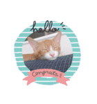 子猫 双子（個別スタンプ：28）