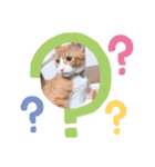 子猫 双子（個別スタンプ：30）