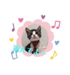 子猫 双子（個別スタンプ：31）