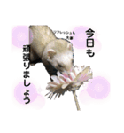 はるまろ（個別スタンプ：10）