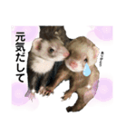 はるまろ（個別スタンプ：11）