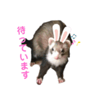 はるまろ（個別スタンプ：14）