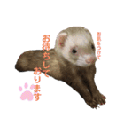 はるまろ（個別スタンプ：22）