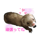 はるまろ（個別スタンプ：25）
