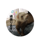はるまろ（個別スタンプ：28）
