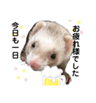 はるまろ（個別スタンプ：30）
