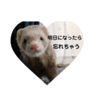はるまろ（個別スタンプ：32）