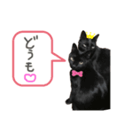 吉田家のにゃんこ達（個別スタンプ：6）