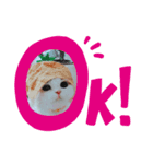 被り物こむぎ（個別スタンプ：8）