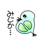 ミジンコちゃん！（個別スタンプ：1）