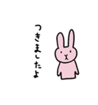 ぼんやりしたうさぎ（個別スタンプ：9）