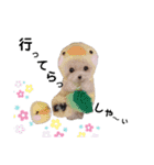ワンワンだ・わん1（個別スタンプ：2）