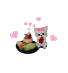 ワンワンだ・わん1（個別スタンプ：10）