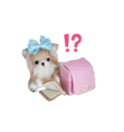 ワンワンだ・わん1（個別スタンプ：16）