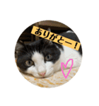カイと陸 第四弾（個別スタンプ：4）