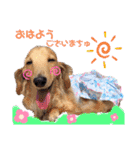 マロン＆プリン〜アクア＆アロマもいるよ〜（個別スタンプ：1）