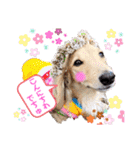 マロン＆プリン〜アクア＆アロマもいるよ〜（個別スタンプ：2）