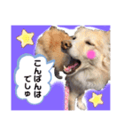 マロン＆プリン〜アクア＆アロマもいるよ〜（個別スタンプ：3）