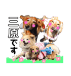 マロン＆プリン〜アクア＆アロマもいるよ〜（個別スタンプ：4）
