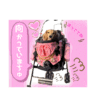 マロン＆プリン〜アクア＆アロマもいるよ〜（個別スタンプ：5）