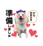マロン＆プリン〜アクア＆アロマもいるよ〜（個別スタンプ：6）