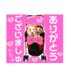 マロン＆プリン〜アクア＆アロマもいるよ〜（個別スタンプ：10）