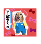 マロン＆プリン〜アクア＆アロマもいるよ〜（個別スタンプ：14）