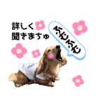マロン＆プリン〜アクア＆アロマもいるよ〜（個別スタンプ：15）