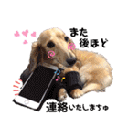 マロン＆プリン〜アクア＆アロマもいるよ〜（個別スタンプ：18）
