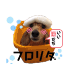 マロン＆プリン〜アクア＆アロマもいるよ〜（個別スタンプ：20）