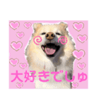マロン＆プリン〜アクア＆アロマもいるよ〜（個別スタンプ：21）