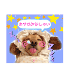 マロン＆プリン〜アクア＆アロマもいるよ〜（個別スタンプ：22）