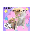 マロン＆プリン〜アクア＆アロマもいるよ〜（個別スタンプ：28）