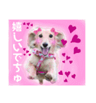 マロン＆プリン〜アクア＆アロマもいるよ〜（個別スタンプ：30）