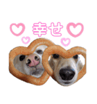 マロン＆プリン〜アクア＆アロマもいるよ〜（個別スタンプ：31）