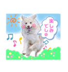マロン＆プリン〜アクア＆アロマもいるよ〜（個別スタンプ：32）