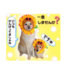 マロン＆プリン〜アクア＆アロマもいるよ〜（個別スタンプ：35）