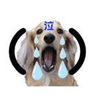 マロン＆プリン〜アクア＆アロマもいるよ〜（個別スタンプ：39）