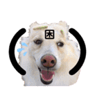 マロン＆プリン〜アクア＆アロマもいるよ〜（個別スタンプ：40）